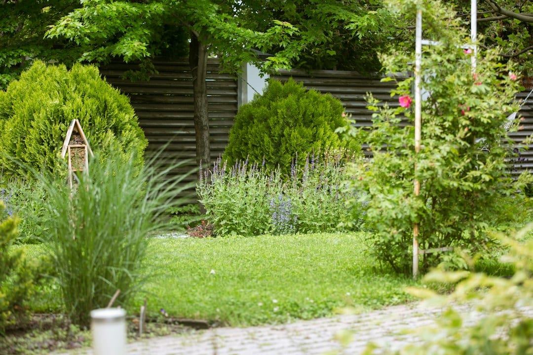 Aromatic sensory garden at Riana Trees Residences
