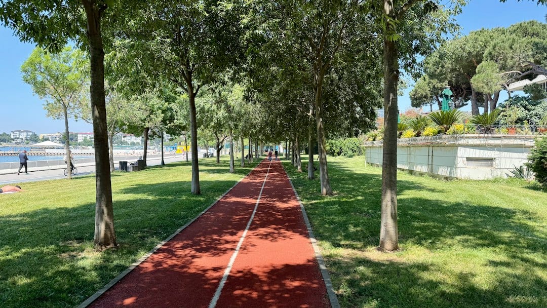 Tree-lined jogging and biking tracks