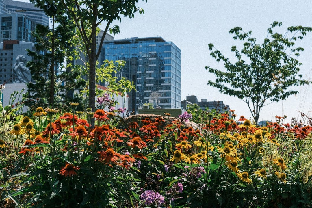Signature urban park with terraced floral gardens